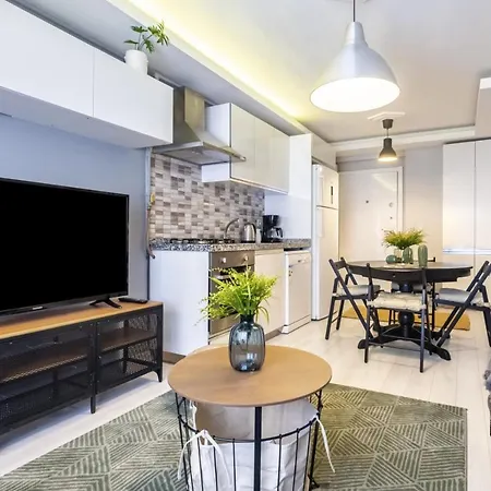 شقة Comfy Flat 650 M To Galata Tower